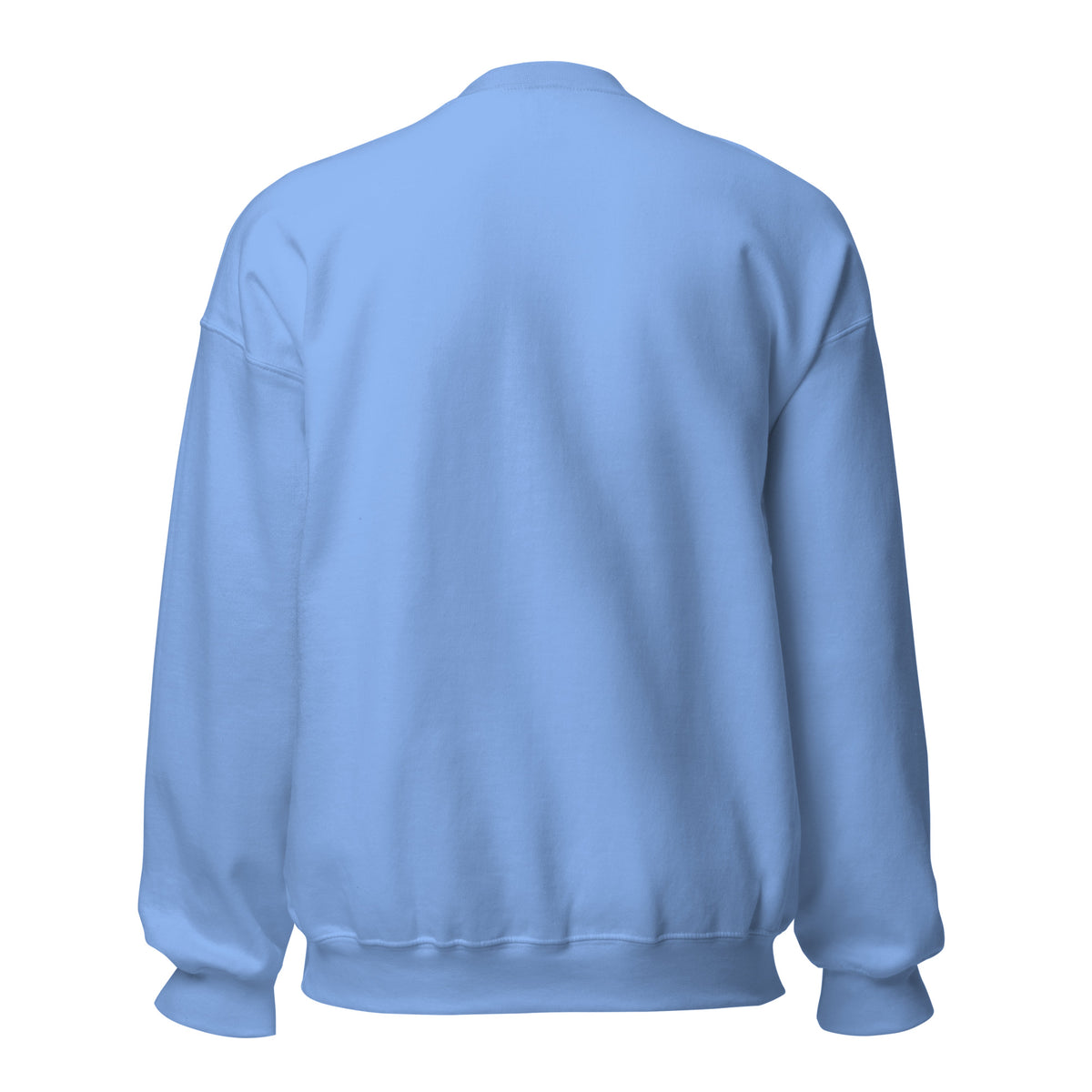 Mission Possible Montessori Small School + Big Education Crewneck Sweatshirt in Carolina Blue, back view
