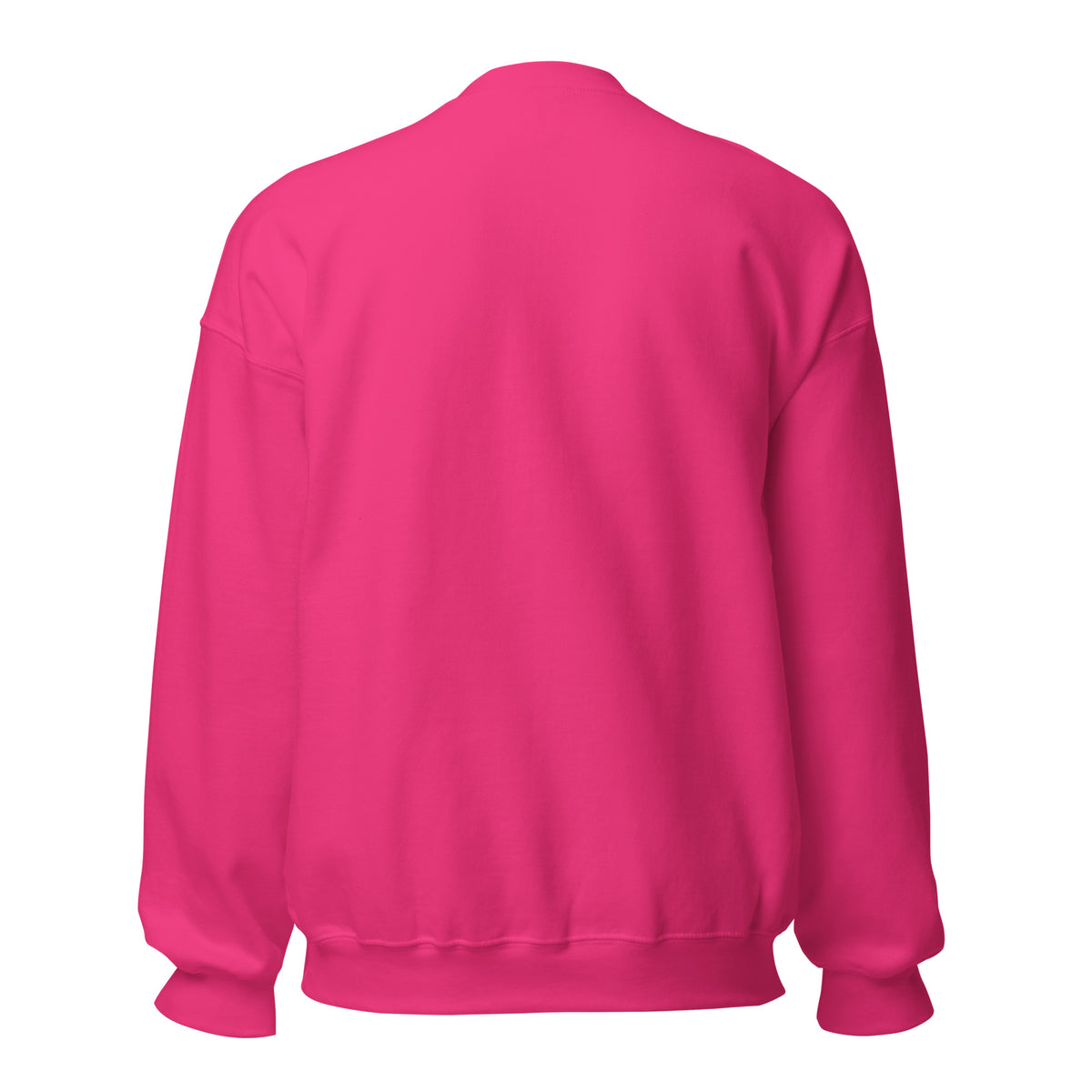 Mission Possible Montessori Small School + Big Education Crewneck Sweatshirt in Heliconia, back view