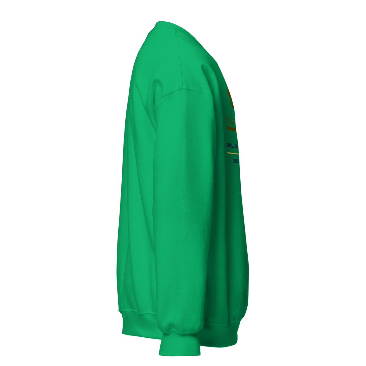 Mission Possible Montessori Small School + Big Education Crewneck Sweatshirt in Irish Green, right view