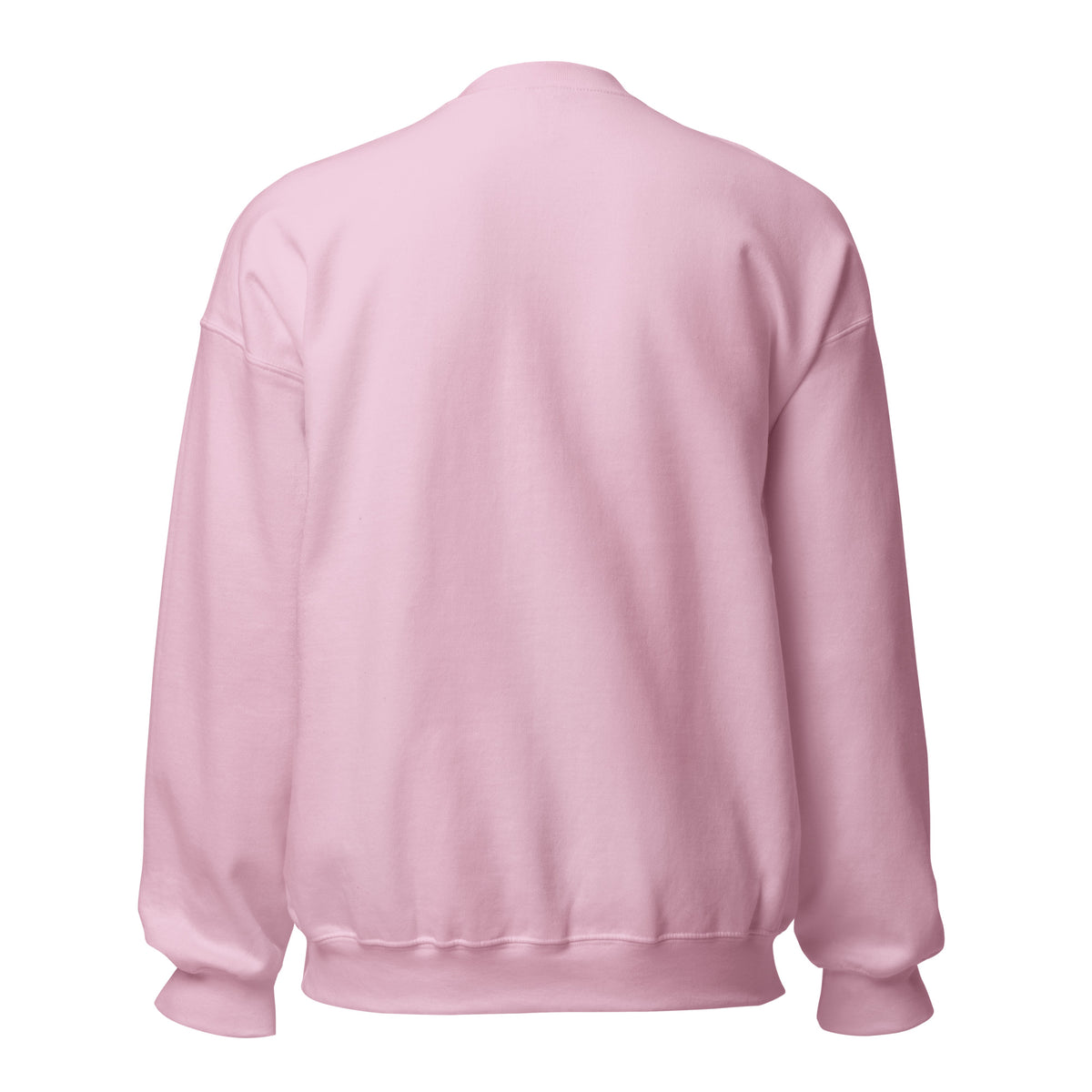 Mission Possible Montessori Small School + Big Education Crewneck Sweatshirt in Light Pink, back view