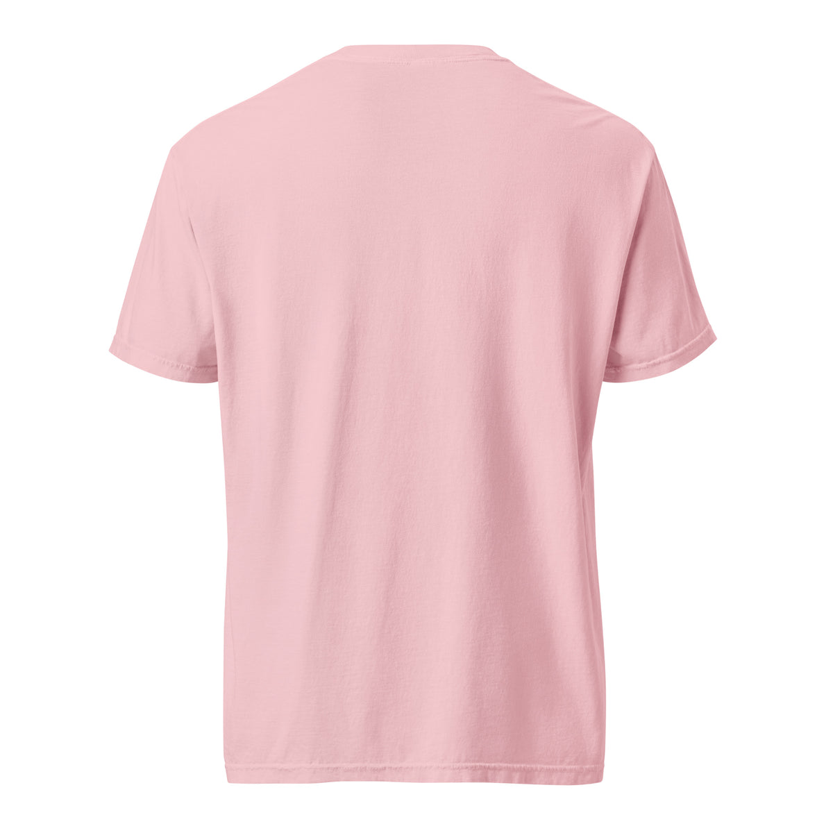 Mission Possible Montessori Logo Garment-Dyed Heavyweight Tee in Blossom, back view