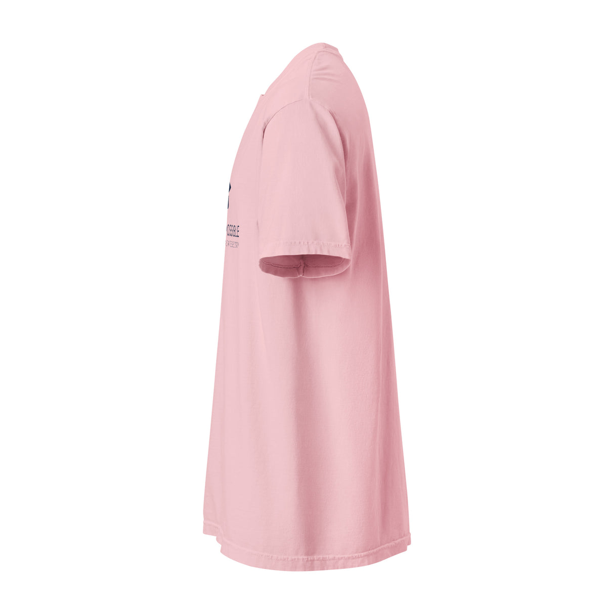 Mission Possible Montessori Logo Garment-Dyed Heavyweight Tee in Blossom, left view