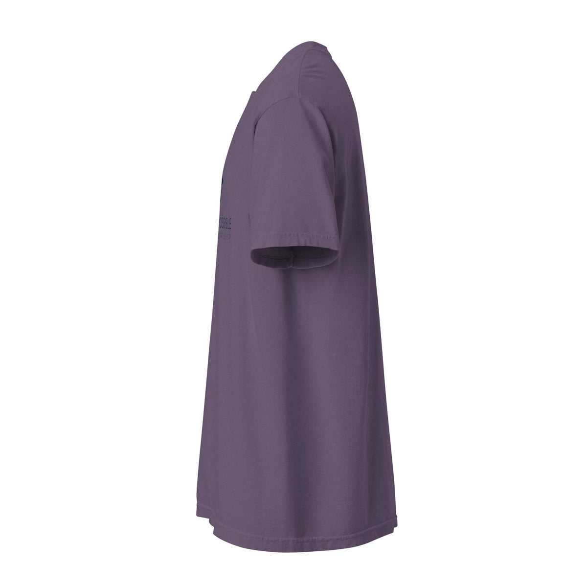 Mission Possible Montessori Logo Garment-Dyed Heavyweight Tee in Grape, left view