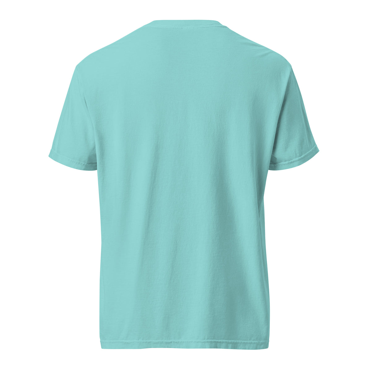 Mission Possible Montessori Logo Garment-Dyed Heavyweight Tee in Lagoon Blue, back view