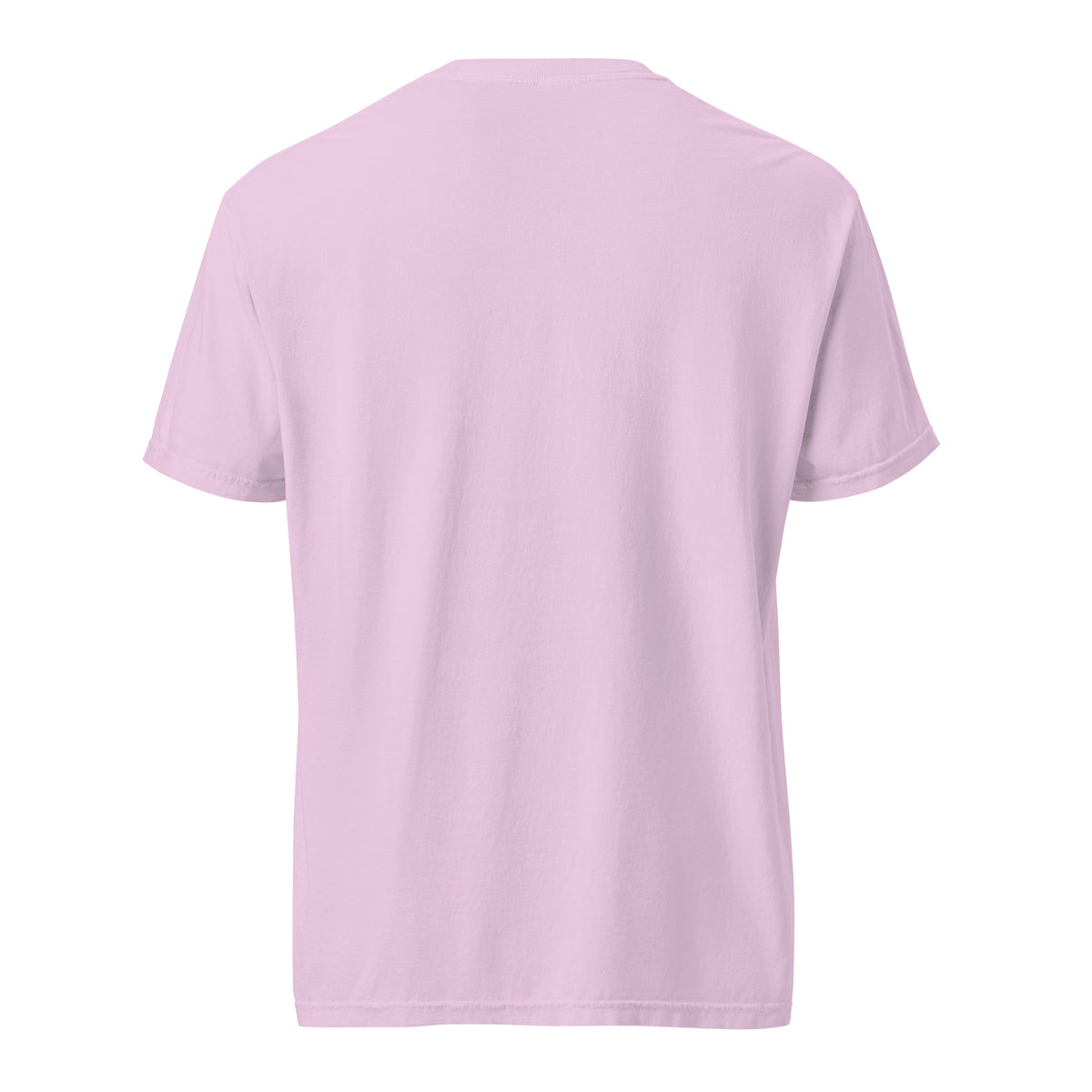 Mission Possible Montessori Logo Garment-Dyed Heavyweight Tee in Orchid, back view