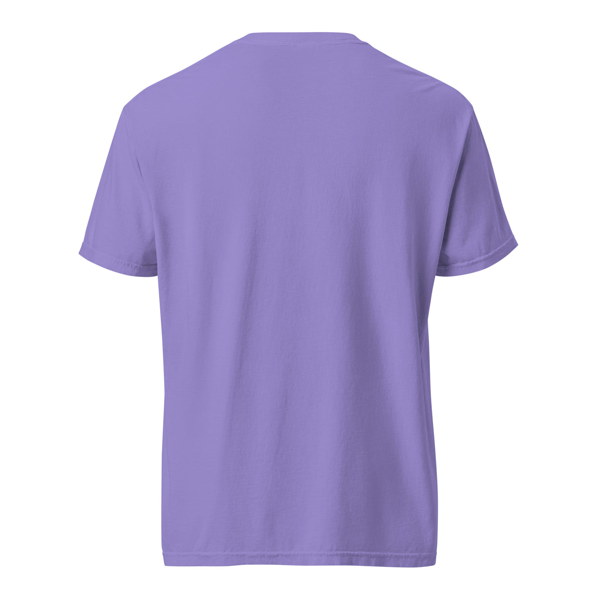 Mission Possible Montessori Logo Garment-Dyed Heavyweight Tee in Violet, back view