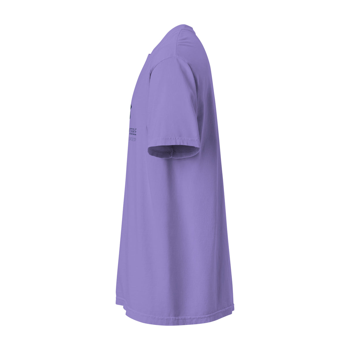 Mission Possible Montessori Logo Garment-Dyed Heavyweight Tee in Violet, left view