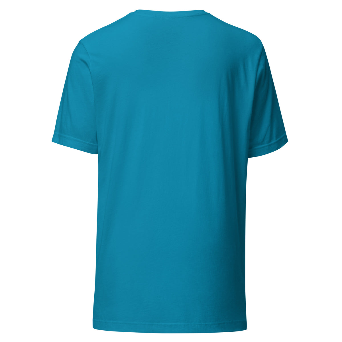 Mission Possible Montessori Logo Tee in Aqua, back view